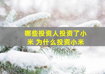 哪些投资人投资了小米 为什么投资小米